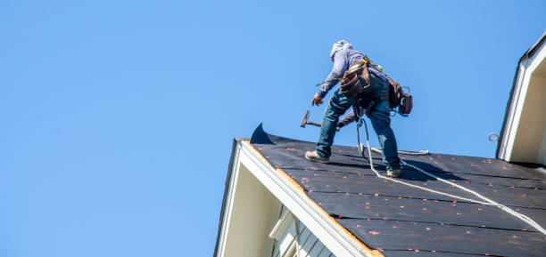 Best Roof Gutter Cleaning  in Green Knoll, NJ